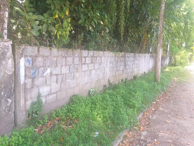 #11 - Área para Venda em Guarujá - SP - 2